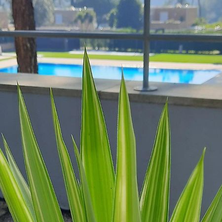 Barca House - Nature - Golf - Pool & Beach Esposende Eksteriør billede